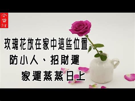 種玫瑰 風水|【門口種玫瑰風水】門口種玫瑰風水，好運滾滾來？一文破解！